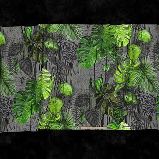 TROPICS