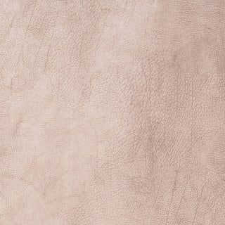 Story 24