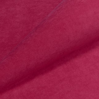 Teddy 643