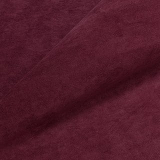 Teddy 646