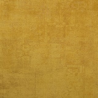 Forte 5