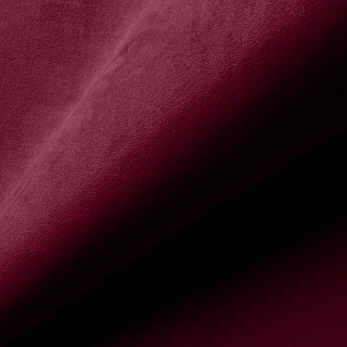 ZIZI 646