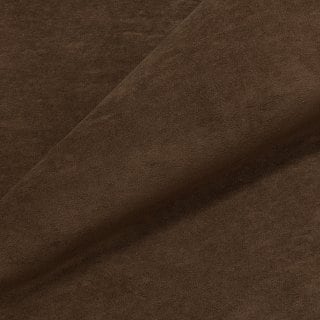 Teddy 015