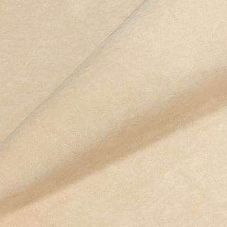 Teddy 008