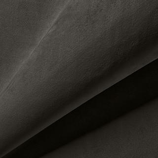 ZIZI 011