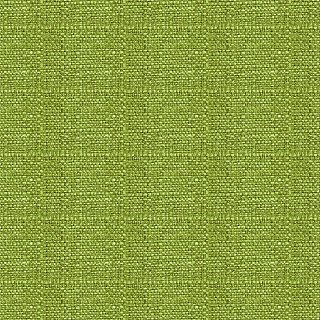Artemis 16 Lime
